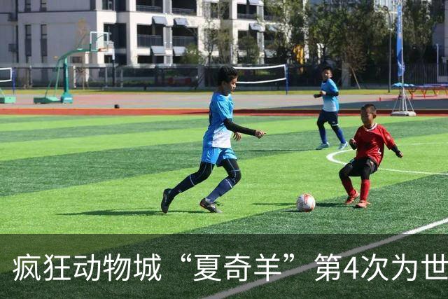 疯狂动物城“夏奇羊”第4次为世界杯开嗓，版税将全捐用于贫困儿童教育